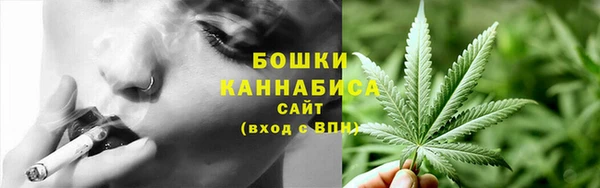 бутират Елабуга