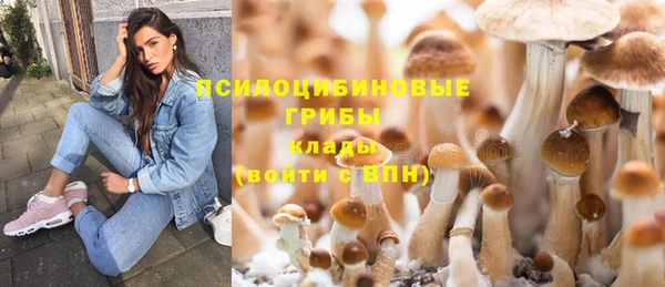 прущая мука Елизово